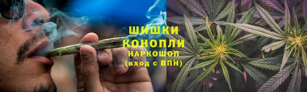 твердый Алзамай