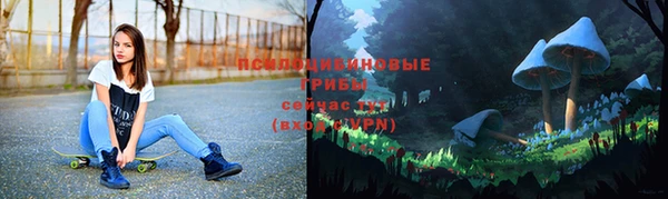 твердый Алзамай