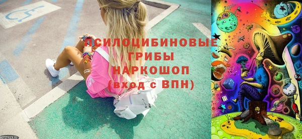 твердый Алзамай
