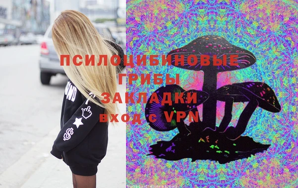 a pvp Алексин