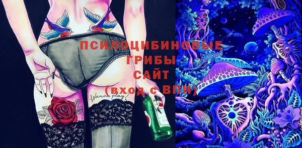 a pvp Алексин