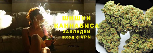 твердый Алзамай